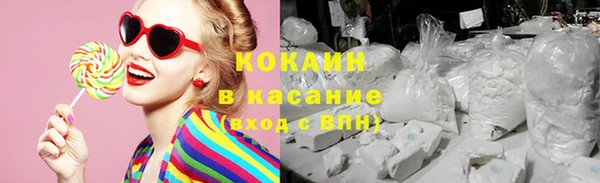 винт Абаза