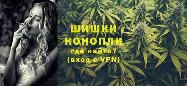 винт Абаза