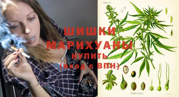 сатива Абдулино