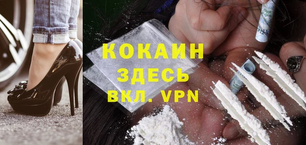 винт Абаза