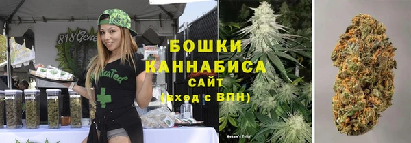 сатива Абдулино