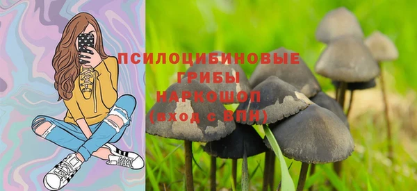 винт Абаза