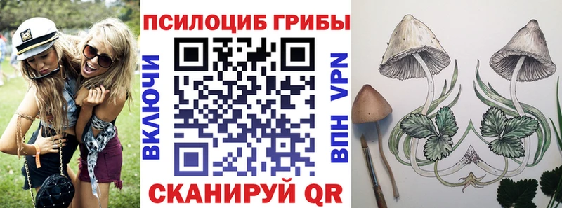 купить наркотик  Яхрома  Галлюциногенные грибы мухоморы 